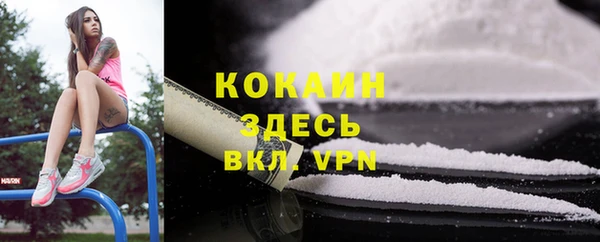 гидра Гусиноозёрск