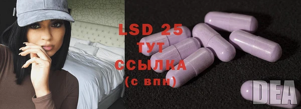 гидра Гусиноозёрск