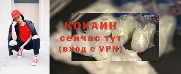 тгк Гусь-Хрустальный