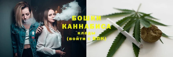 гидра Гусиноозёрск