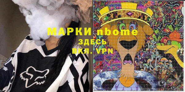 гидра Гусиноозёрск