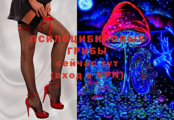 гидра Гусиноозёрск